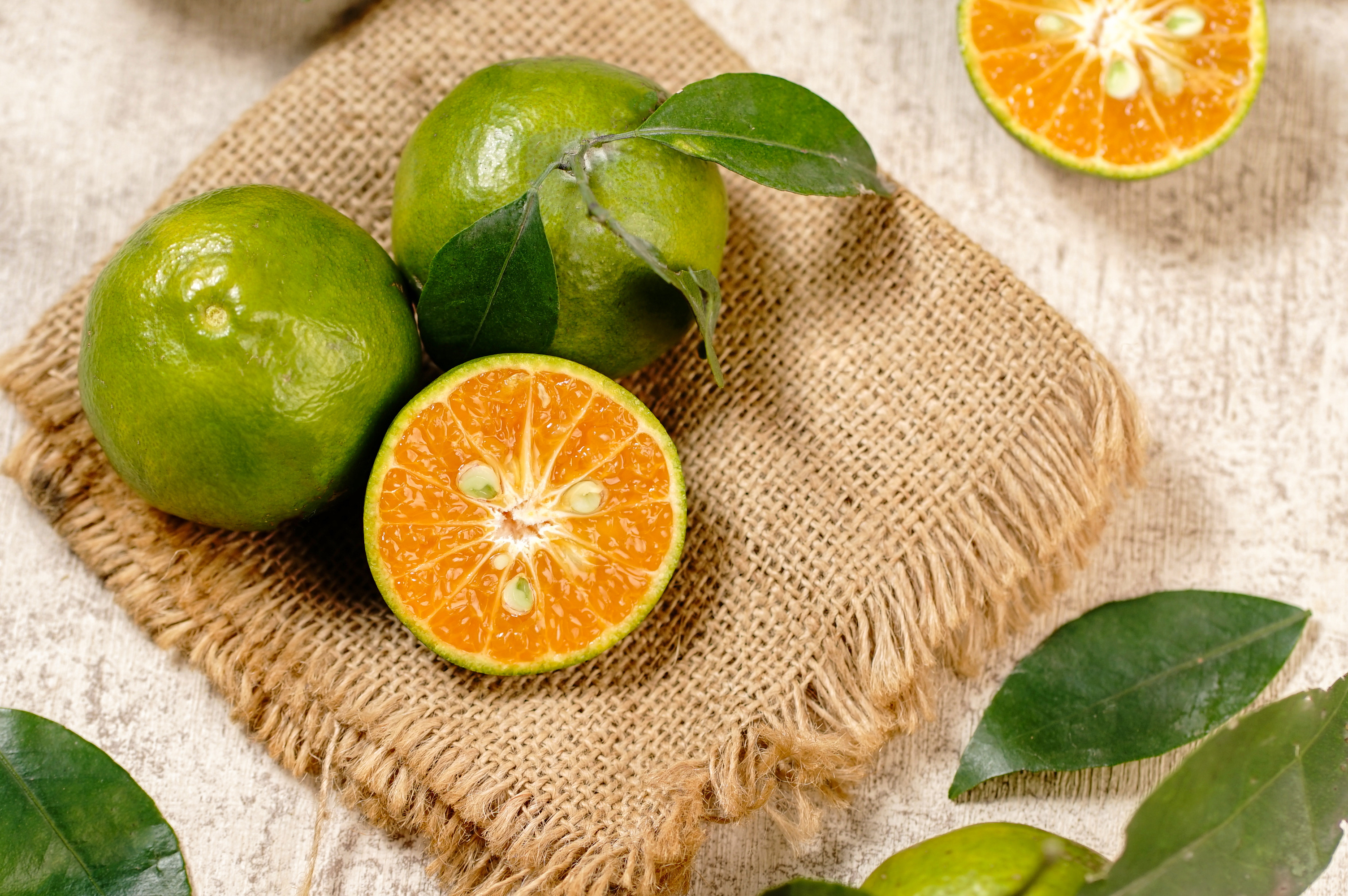 Siem Orange/ Tangerine